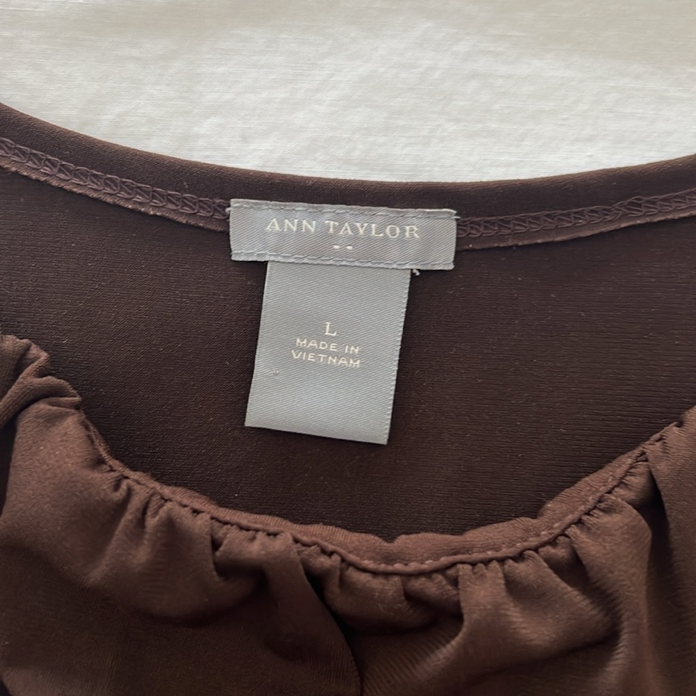 Ann Taylor Brown Ruffle Top - Picture 2 of 6